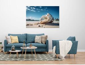 Obraz na plátně - mušle na písečné pláži FeelHappy.cz Velikost obrazu: 90 x 60 cm