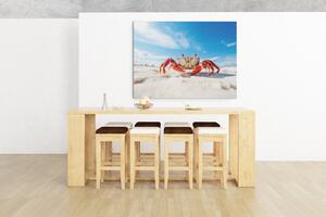 Obraz na plátně - červený krab na písečné pláži FeelHappy.cz Velikost obrazu: 210 x 140 cm