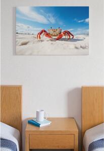 Obraz na plátně - červený krab na písečné pláži FeelHappy.cz Velikost obrazu: 60 x 40 cm