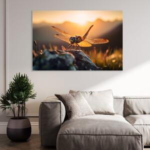 Obraz na plátně - vážka sedící na kameni při západu slunce FeelHappy.cz Velikost obrazu: 210 x 140 cm