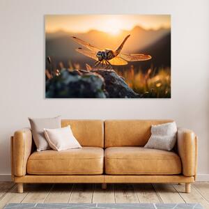 Obraz na plátně - vážka sedící na kameni při západu slunce FeelHappy.cz Velikost obrazu: 60 x 40 cm