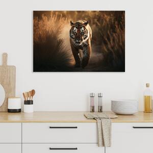 Obraz na plátně - Tygr běžící savanou FeelHappy.cz Velikost obrazu: 150 x 100 cm