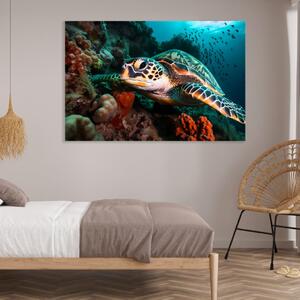 Obraz na plátně - mořská želva u korálového útesu FeelHappy.cz Velikost obrazu: 150 x 100 cm