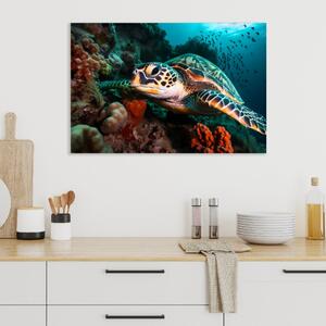 Obraz na plátně - mořská želva u korálového útesu FeelHappy.cz Velikost obrazu: 210 x 140 cm