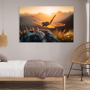 Obraz na plátně - vážka sedící na kameni při západu slunce FeelHappy.cz Velikost obrazu: 40 x 30 cm