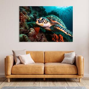 Obraz na plátně - mořská želva u korálového útesu FeelHappy.cz Velikost obrazu: 150 x 100 cm
