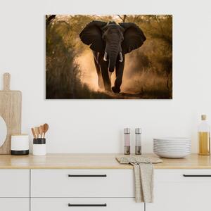 Obraz na plátně - Slon v divoké přírodě FeelHappy.cz Velikost obrazu: 40 x 30 cm
