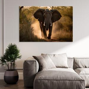 Obraz na plátně - Slon v divoké přírodě FeelHappy.cz Velikost obrazu: 120 x 80 cm