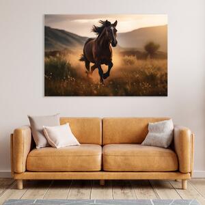 Obraz na plátně - Kůň v divoké přírodě FeelHappy.cz Velikost obrazu: 150 x 100 cm