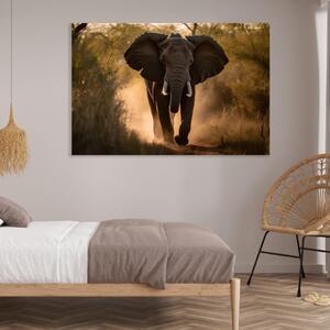 Obraz na plátně - Slon v divoké přírodě FeelHappy.cz Velikost obrazu: 150 x 100 cm