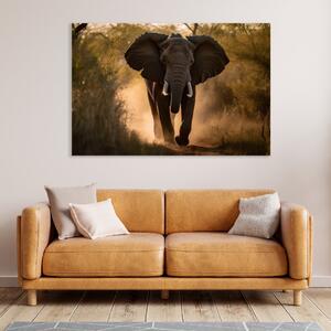 Obraz na plátně - Slon v divoké přírodě FeelHappy.cz Velikost obrazu: 150 x 100 cm