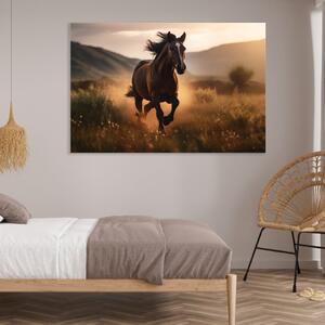 Obraz na plátně - Kůň v divoké přírodě FeelHappy.cz Velikost obrazu: 40 x 30 cm