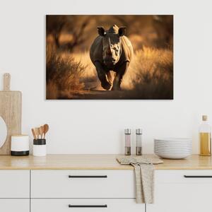 Obraz na plátně - Nosorožec v divoké přírodě FeelHappy.cz Velikost obrazu: 120 x 80 cm