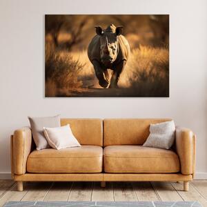 Obraz na plátně - Nosorožec v divoké přírodě FeelHappy.cz Velikost obrazu: 210 x 140 cm
