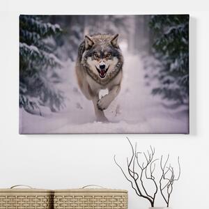 Obraz na plátně - Vlk běžící zasněženou krajinou FeelHappy.cz Velikost obrazu: 120 x 80 cm