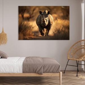Obraz na plátně - Nosorožec v divoké přírodě FeelHappy.cz Velikost obrazu: 210 x 140 cm