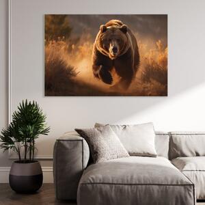 Obraz na plátně - Medvěd běžící v divoké přírodě FeelHappy.cz Velikost obrazu: 210 x 140 cm