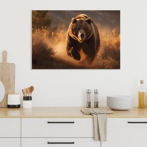 Obraz na plátně - Medvěd běžící v divoké přírodě FeelHappy.cz Velikost obrazu: 150 x 100 cm