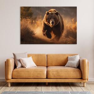Obraz na plátně - Medvěd běžící v divoké přírodě FeelHappy.cz Velikost obrazu: 40 x 30 cm