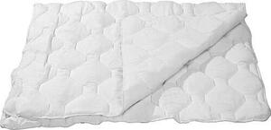 CELOROČNÍ PŘIKRÝVKA, 140/200 cm, polyester Boxxx - Přikrývky