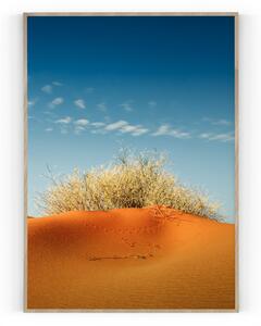 Plakát / Obraz Dune S okrajem Pololesklý saténový papír 30 x 40 cm