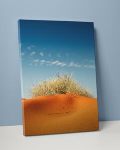 Plakát / Obraz Dune S okrajem Pololesklý saténový papír 40 x 50 cm