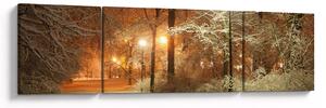 Obraz - Zasněžený park (170x50 cm)