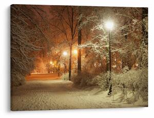 Obraz - Zasněžený park (70x50 cm)