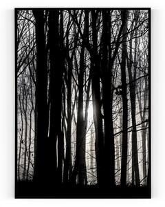 Plakát / Obraz Forest S okrajem Pololesklý saténový papír A4 - 21 x 29,7 cm