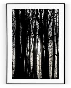 Plakát / Obraz Forest Pololesklý saténový papír S okrajem A4 - 21 x 29,7 cm