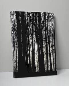 Plakát / Obraz Forest Bez okraje Napnuté plátno na dřevěném rámu 61 x 91,5 cm