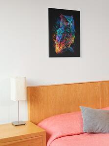 Obraz na plátně - Barevná sova (celé tělo) FeelHappy.cz Velikost obrazu: 30 x 40 cm