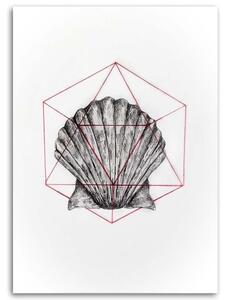 Obraz na plátně Geometrická skořápka - Jan Perit Kablan Rozměry: 40 x 60 cm