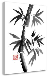 Obraz na plátně Hezký černobílý bambus - Péchane Rozměry: 40 x 60 cm