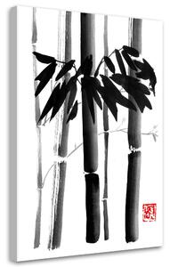 Obraz na plátně Několik bambusů - Péchane Rozměry: 40 x 60 cm