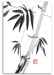 Obraz na plátně Černobílý bambus - Péchane Rozměry: 40 x 60 cm