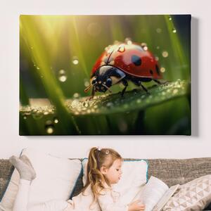 Obraz na plátně - Beruška na stéblu trávy s rosou FeelHappy.cz Velikost obrazu: 180 x 120 cm