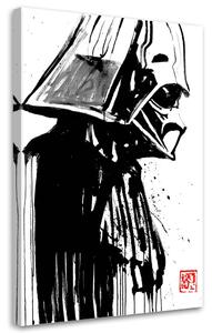 Obraz na plátně Star Wars, Darth Vader - Péchane Rozměry: 40 x 60 cm