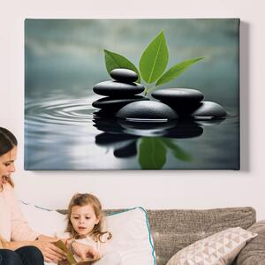 Obraz na plátně - Meditace, černé kameny na sobě, tráva FeelHappy.cz Velikost obrazu: 150 x 100 cm