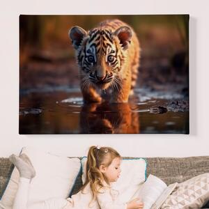 Obraz na plátně - Mládě tygra v louži FeelHappy.cz Velikost obrazu: 40 x 30 cm