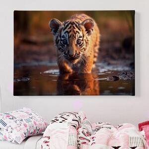 Obraz na plátně - Mládě tygra v louži FeelHappy.cz Velikost obrazu: 210 x 140 cm
