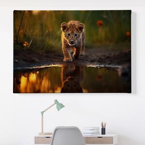 Obraz na plátně - Mládě lva v louži FeelHappy.cz Velikost obrazu: 40 x 30 cm