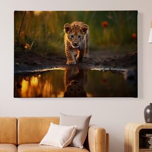 Obraz na plátně - Mládě lva v louži FeelHappy.cz Velikost obrazu: 210 x 140 cm