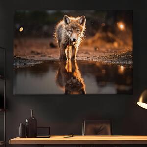 Obraz na plátně - Mládě vlka v louži FeelHappy.cz Velikost obrazu: 210 x 140 cm