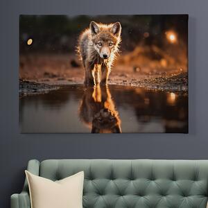 Obraz na plátně - Mládě vlka v louži FeelHappy.cz Velikost obrazu: 150 x 100 cm