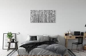 Obrazy na plátně Černá a bílá strom 100x50 cm