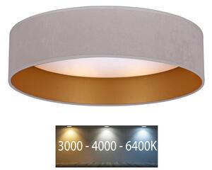 BRILAGI - LED Stropní svítidlo VELVET LED/12W/230V pr. 30 cm 3000K/4000K/6400K BG0293