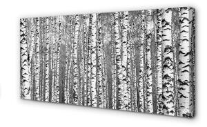 Obrazy na plátně Černá a bílá strom 100x50cm