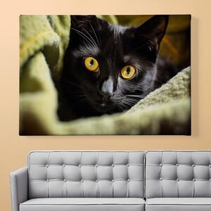 Obraz na plátně - Najdi kočku, černá kočka v zelené dece FeelHappy.cz Velikost obrazu: 60 x 40 cm