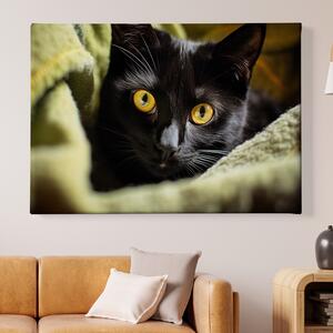 Obraz na plátně - Najdi kočku, černá kočka v zelené dece FeelHappy.cz Velikost obrazu: 90 x 60 cm